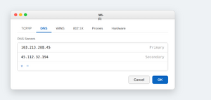 Macos-dns-settings.png